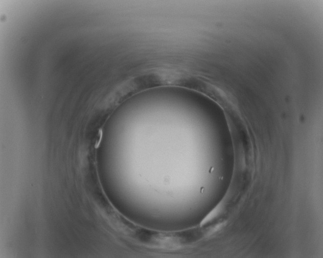 X0000083560221200702162036