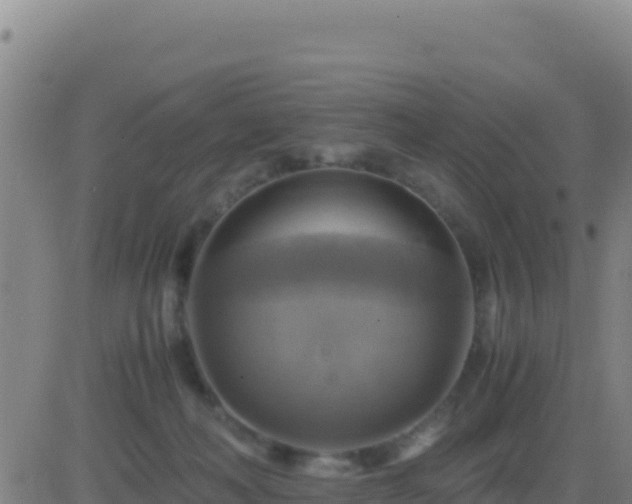 X0000083560222200702162036