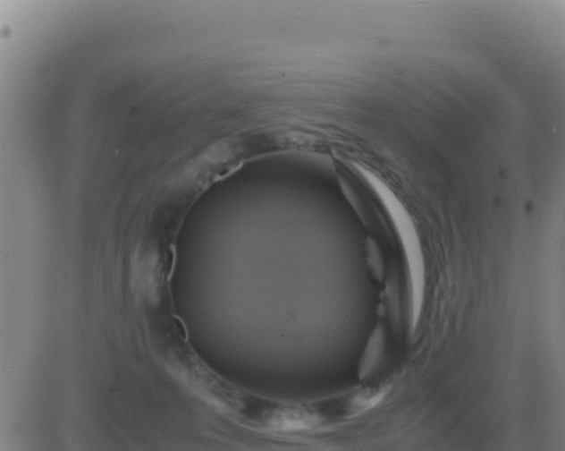 X0000083560223200702162036