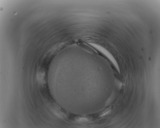 X0000083560224200702162036