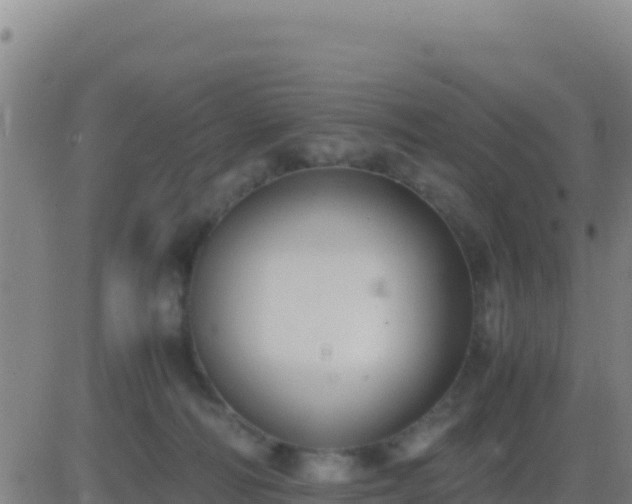 X0000083560226200702162036