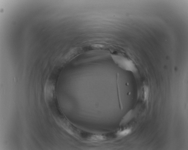 X0000083560227200702162035