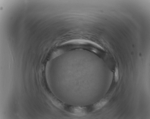 X0000083560229200702162035