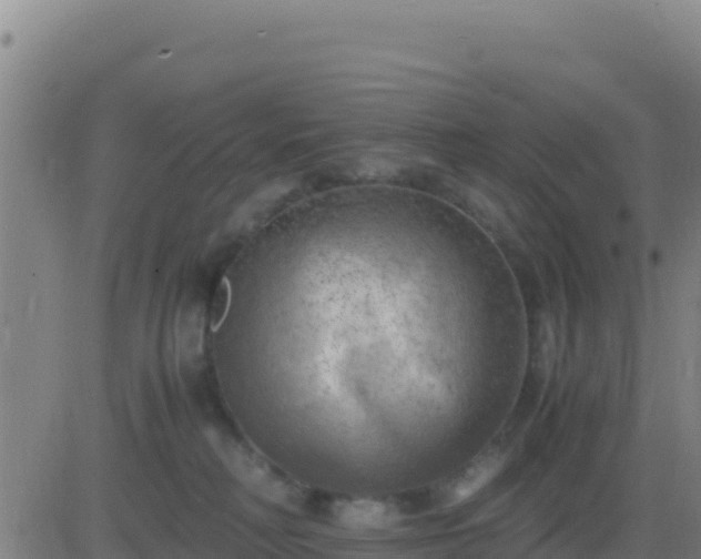 X0000083560230200702162035