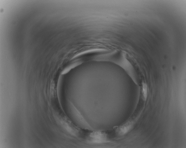 X0000083560231200702162035