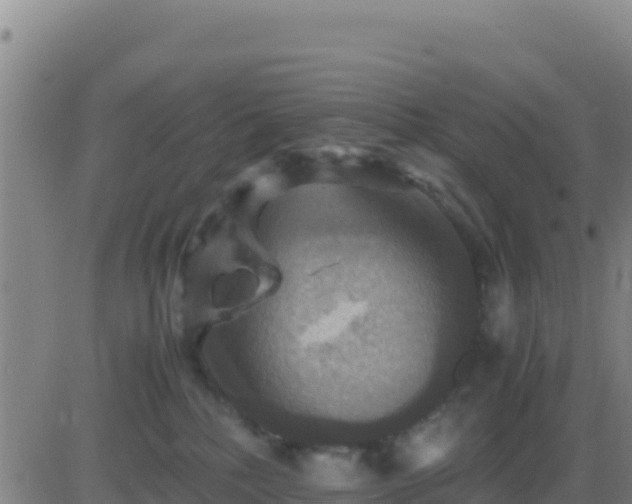 X0000083560232200702162035