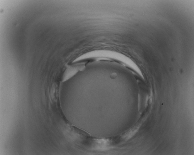 X0000083560233200702162035