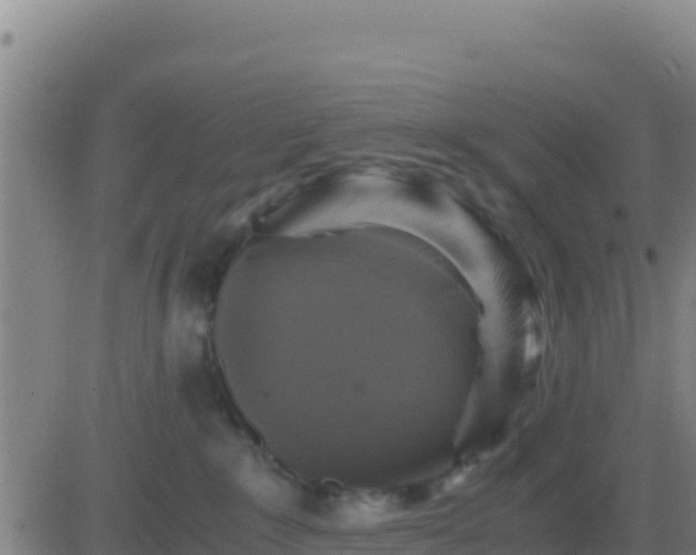 X0000083560235200702162035