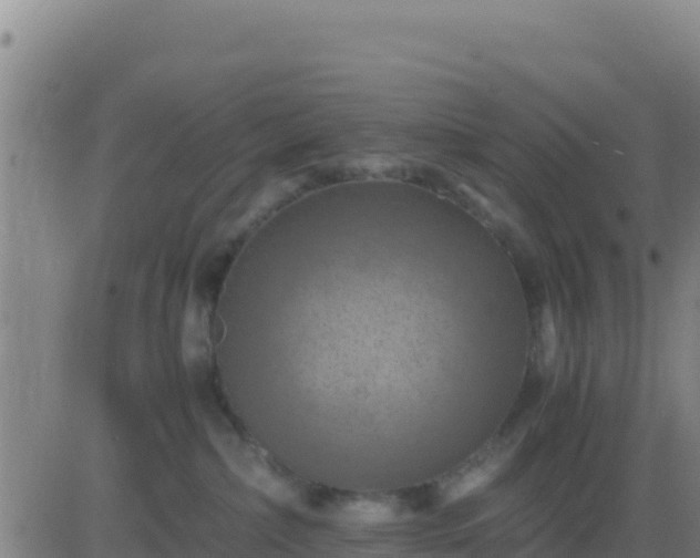 X0000083560236200702162035