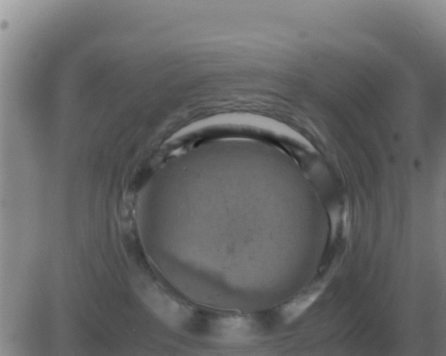 X0000083560237200702162035