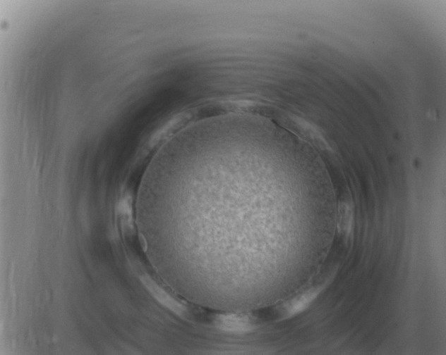 X0000083560238200702162035