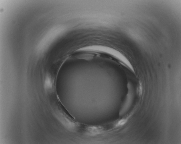 X0000083560239200702162035