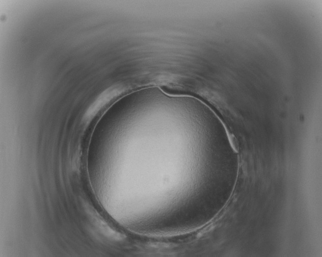 X0000083560242200702162035