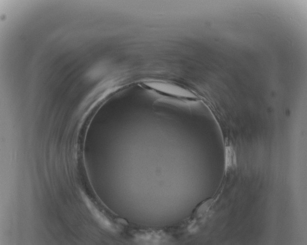 X0000083560243200702162035