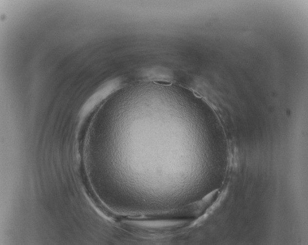 X0000083560245200702162035