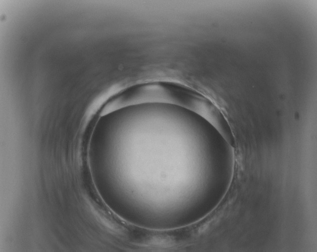 X0000083560248200702162035