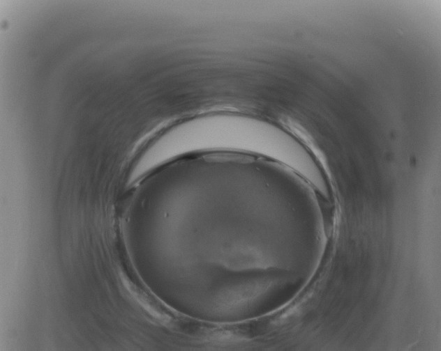 X0000083560249200702162035