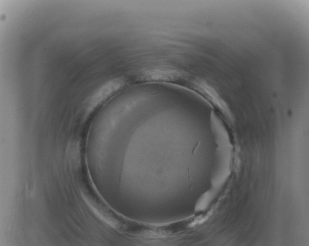 X0000083560250200702162035