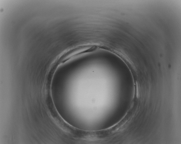 X0000083560252200702162035