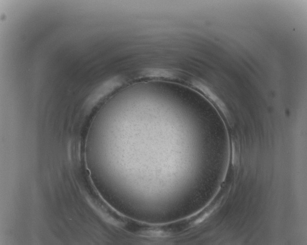 X0000083560253200702162035