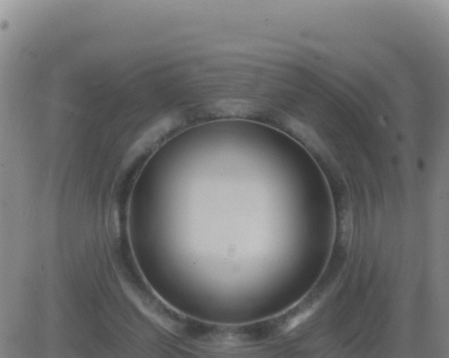 X0000083560254200702162035