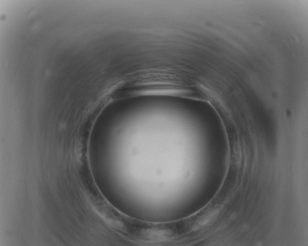 X0000083560255200702162035