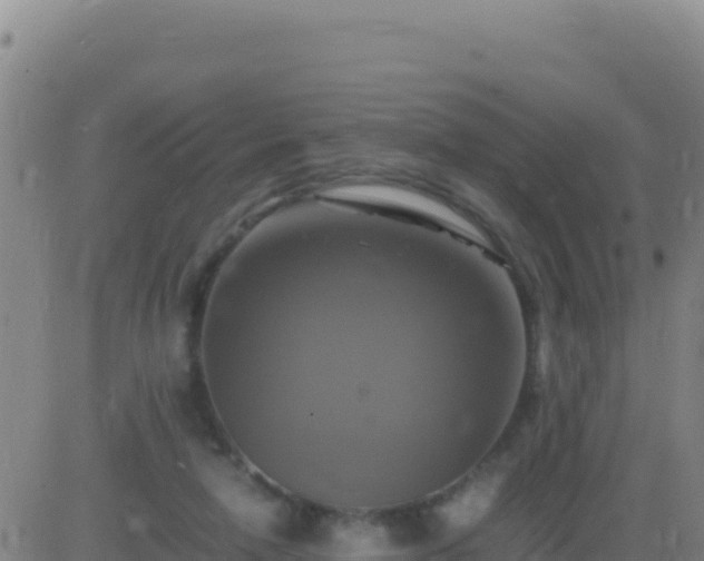 X0000083560258200702162035