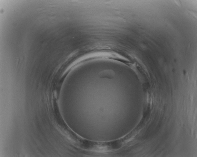 X0000083560260200702162035