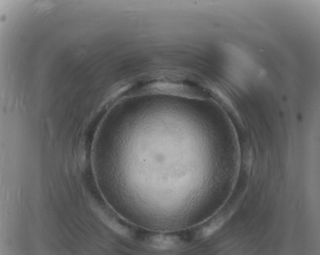 X0000083560261200702162035