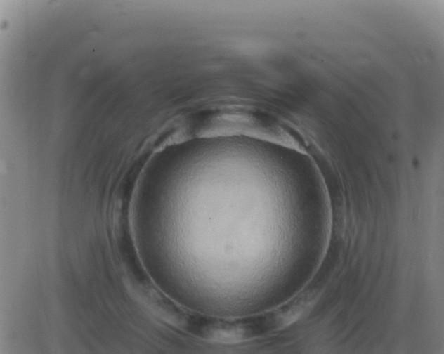 X0000083560263200702162035