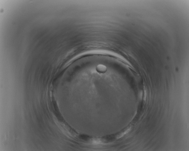 X0000083560264200702162035