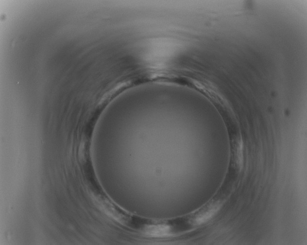 X0000083560266200702162035