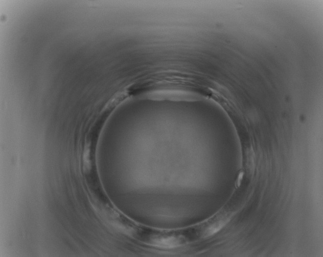 X0000083560267200702162035