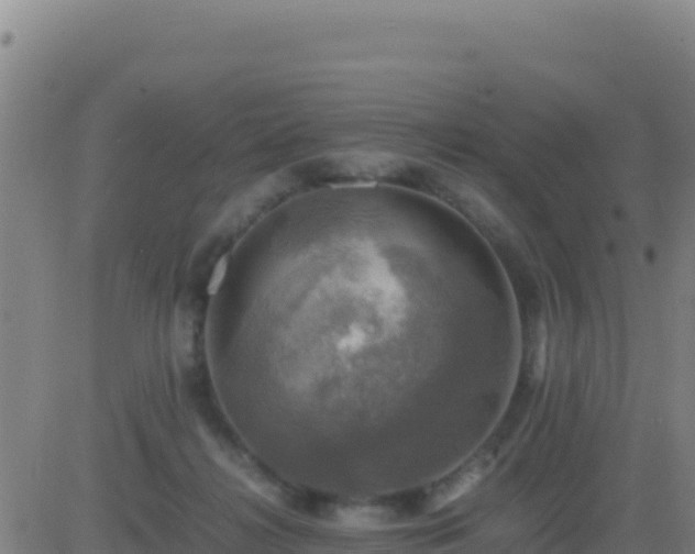 X0000083560268200702162035