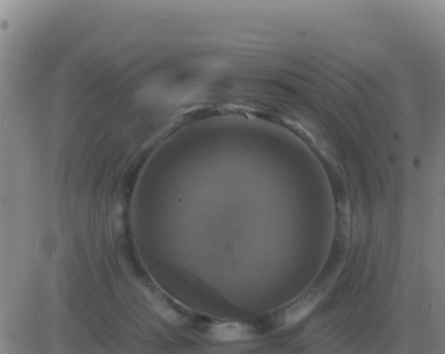 X0000083560269200702162035