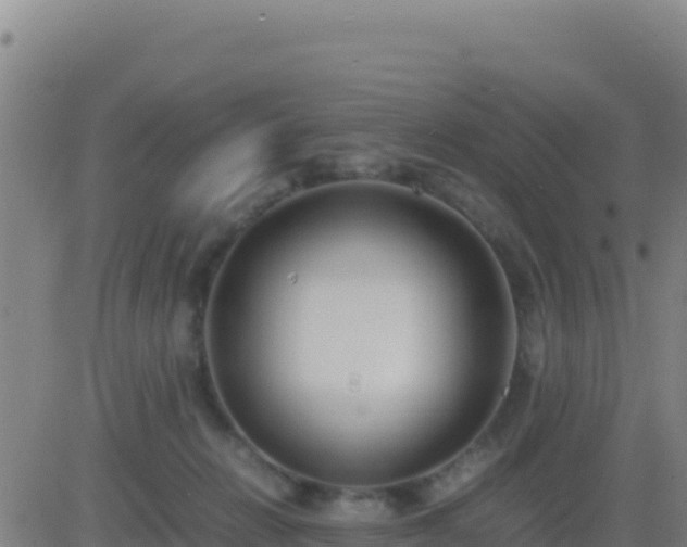 X0000083560270200702162035