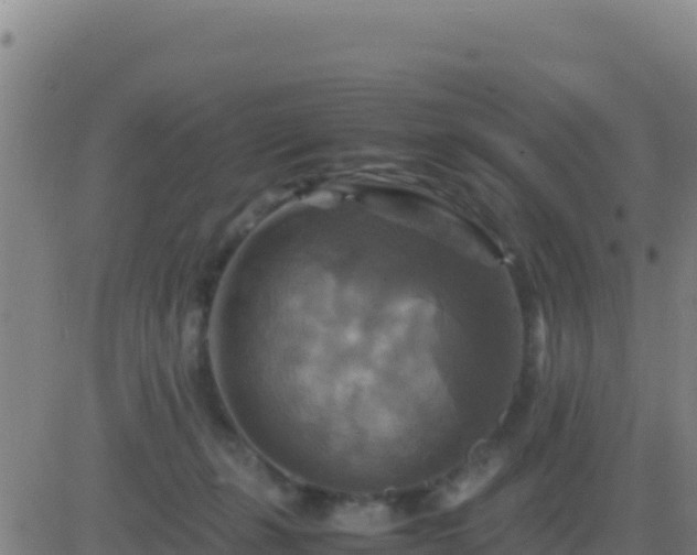 X0000083560271200702162035