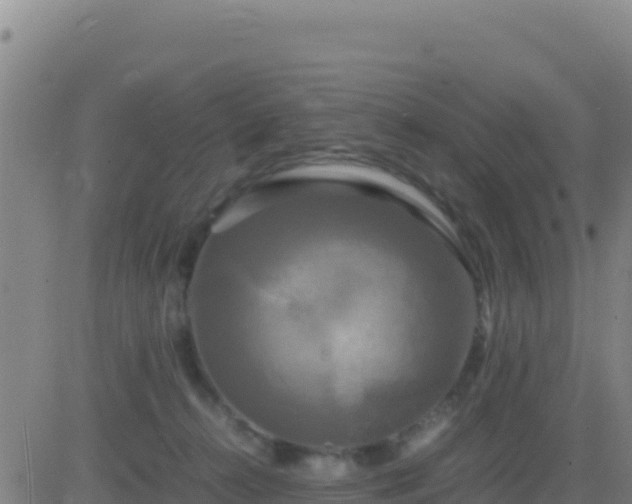 X0000083560272200702162035