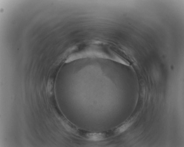 X0000083560273200702162035