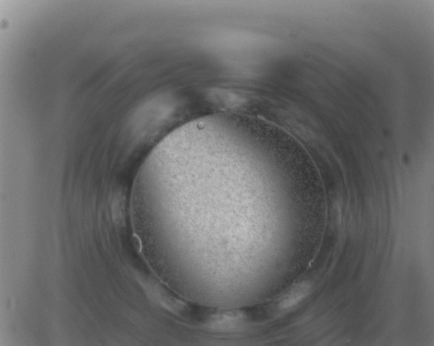 X0000083560274200702162035