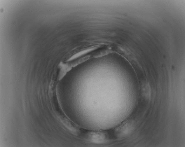 X0000083560275200702162035