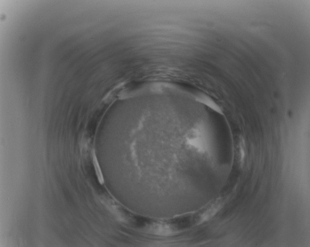 X0000083560276200702162035