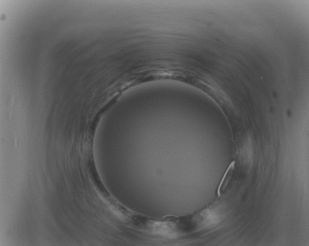 X0000083560277200702162035