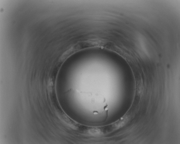 X0000083560279200702162035