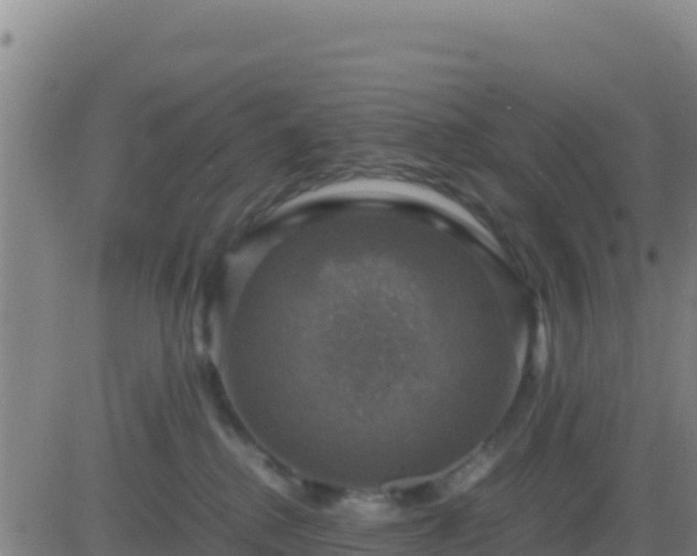 X0000083560280200702162035