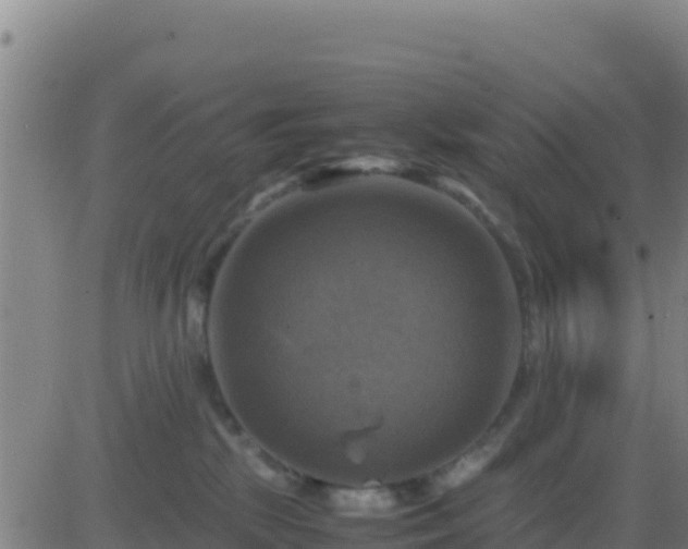 X0000083560281200702162035