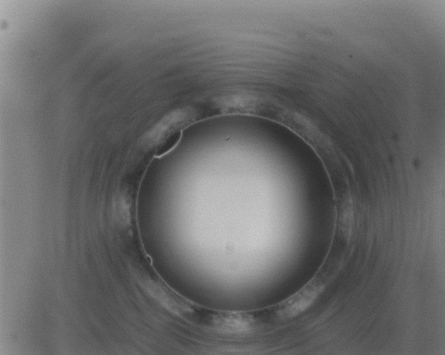 X0000083560282200702162035