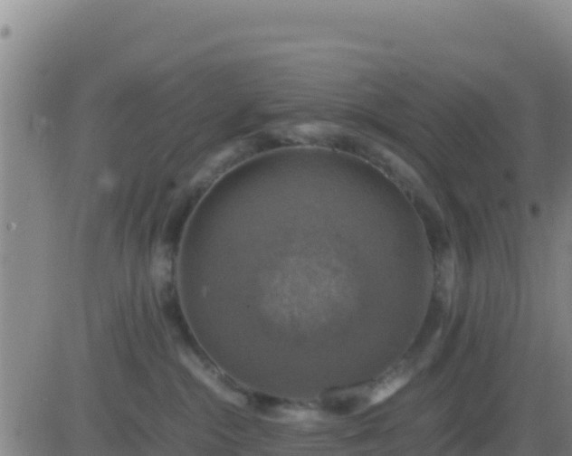 X0000083560284200702162035