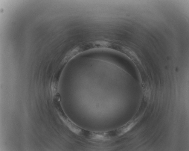 X0000083560285200702162035