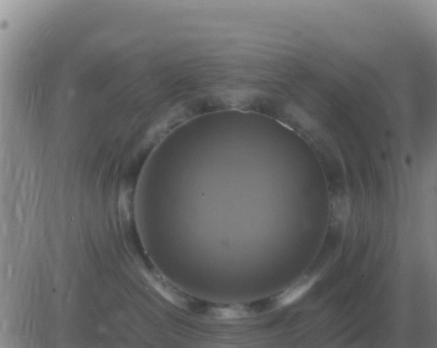 X0000083560286200702162035